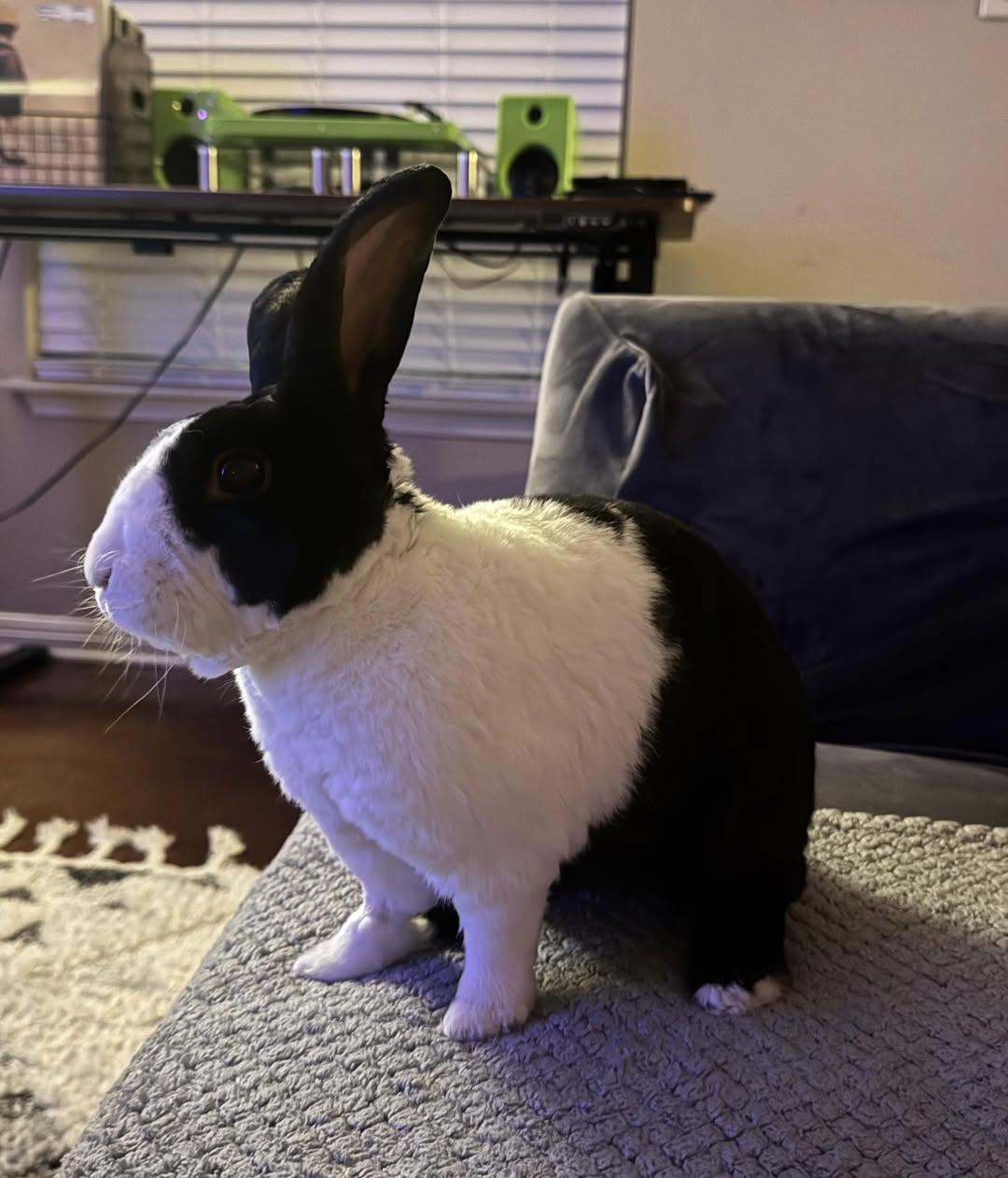 Tux
