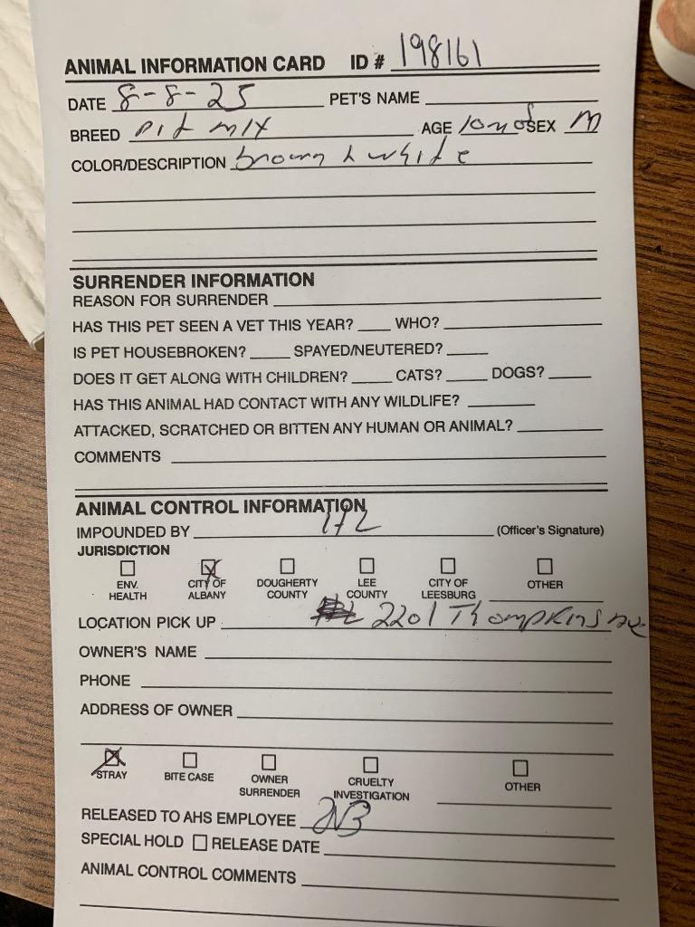 Enlarge Butch, a Adoptable mixed breed in Albany, GA image 1/3