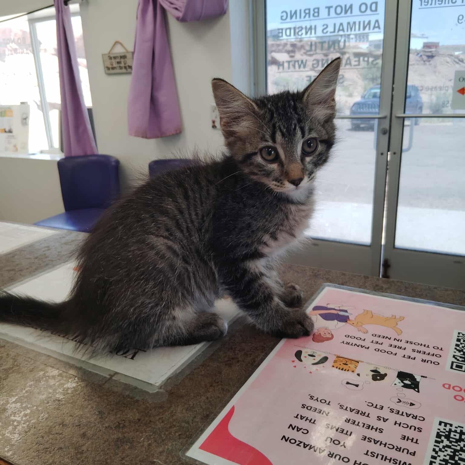 Phineas
