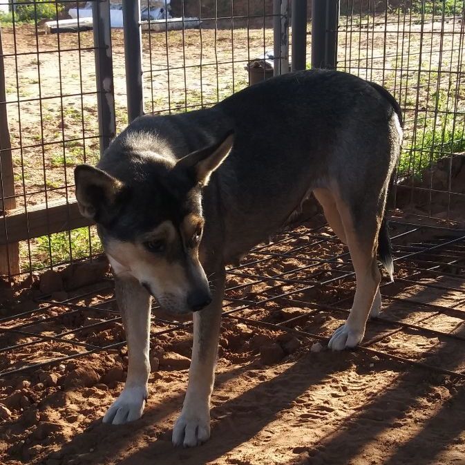 Mona — thumbnail 2