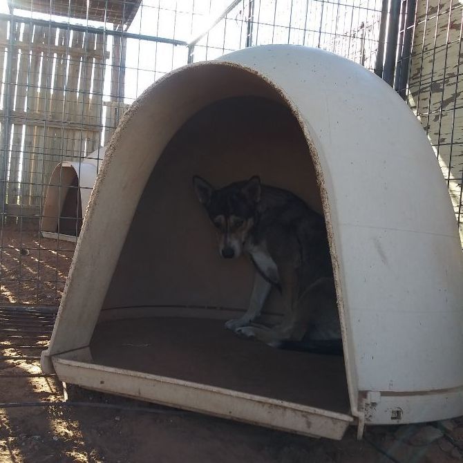 Mona — thumbnail 3