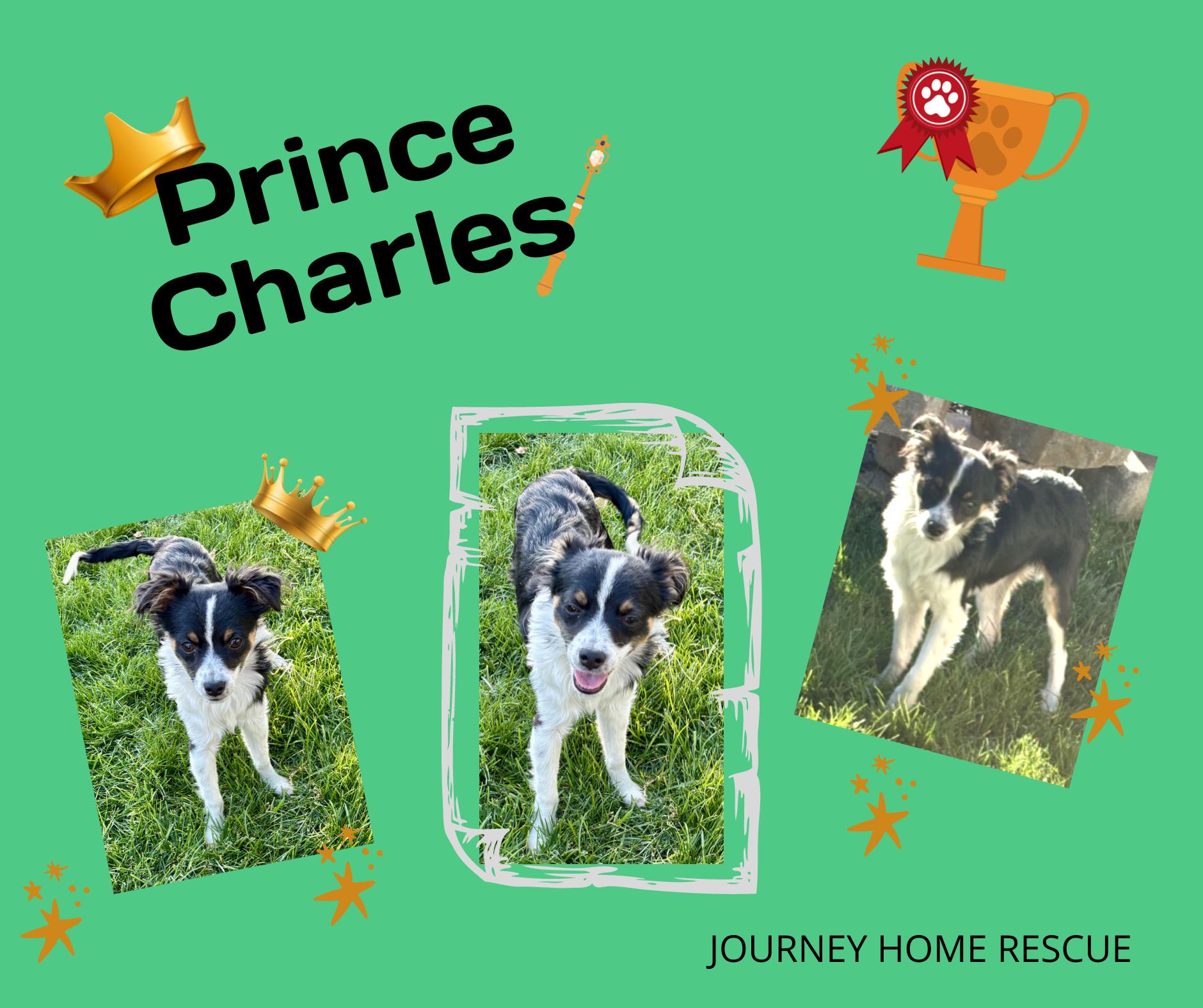 Prince Charles