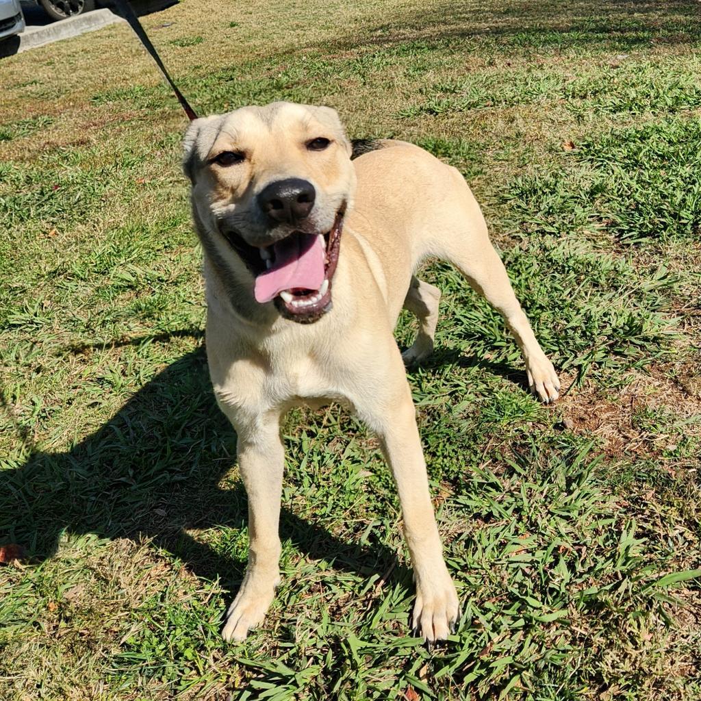 Tucker 21299 — thumbnail 3