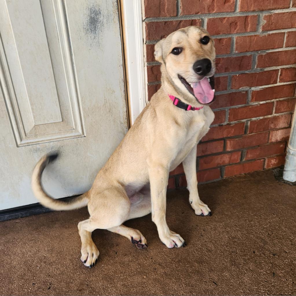 Tucker 21299 — thumbnail 4