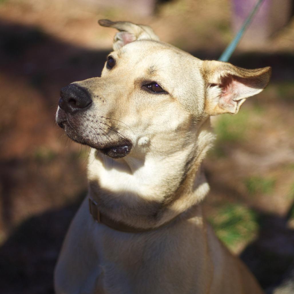 Tucker 21299 — thumbnail 5