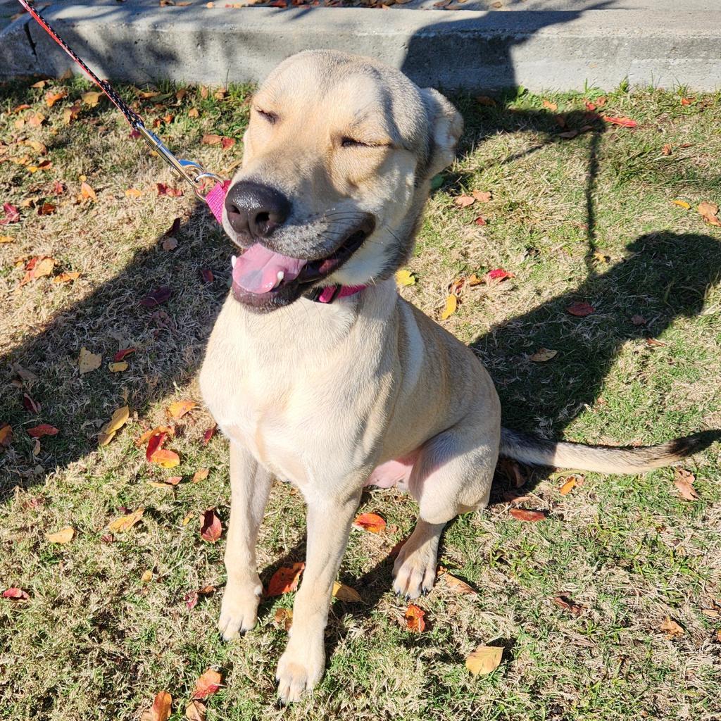 Tucker 21299 — thumbnail 6