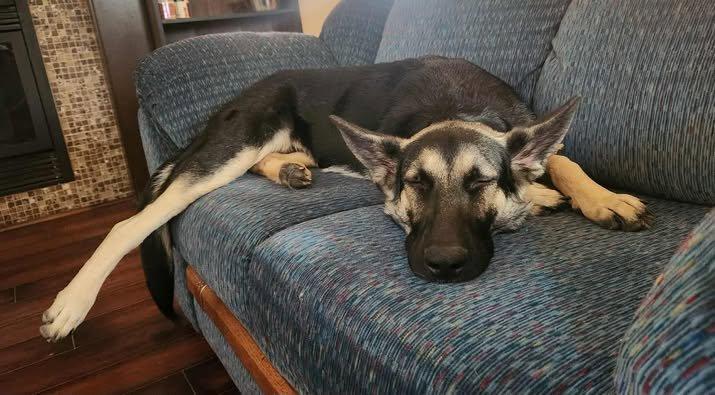 Winnie — thumbnail 2