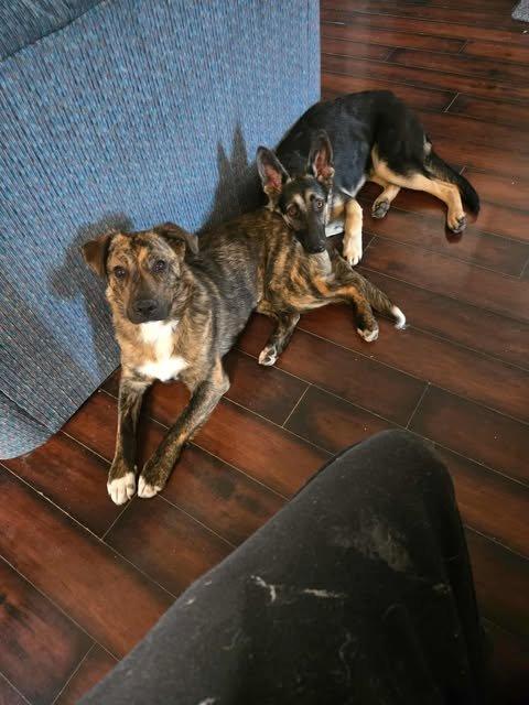 Winnie — thumbnail 3