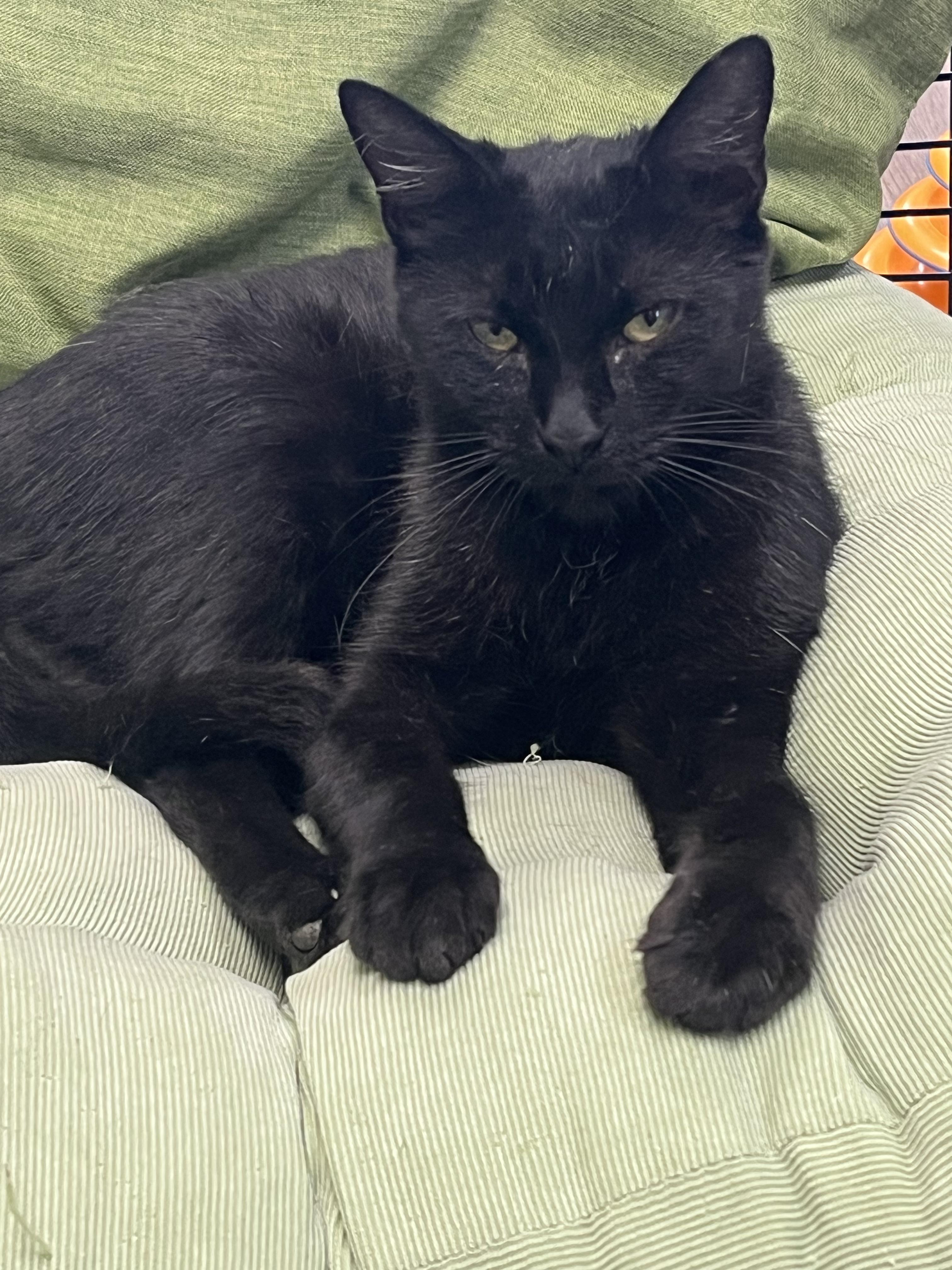 Ellie Mac Sf thumbnail 3