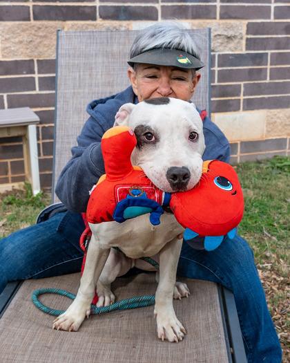 Enlarge Jif, a Adoptable Mixed Breed in Chamblee, GA image 1/3