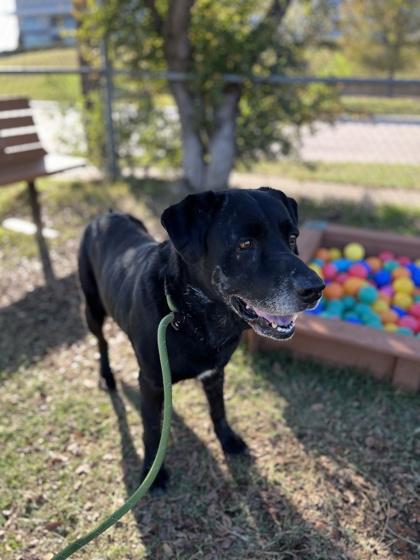 Mercury — thumbnail 2