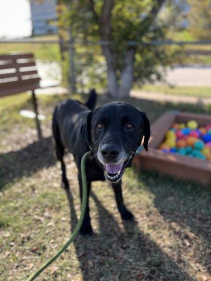 Mercury — thumbnail 3