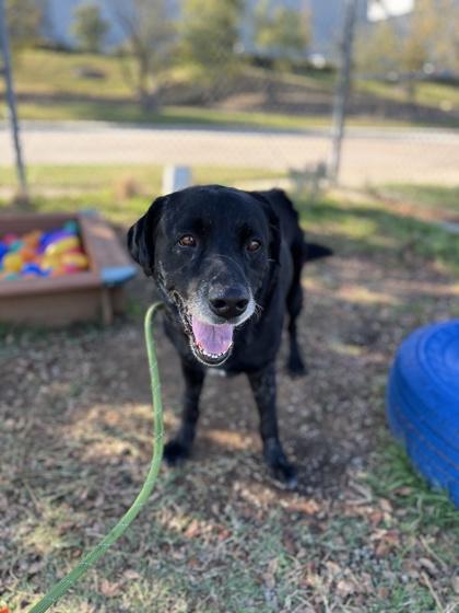 Mercury — thumbnail 4