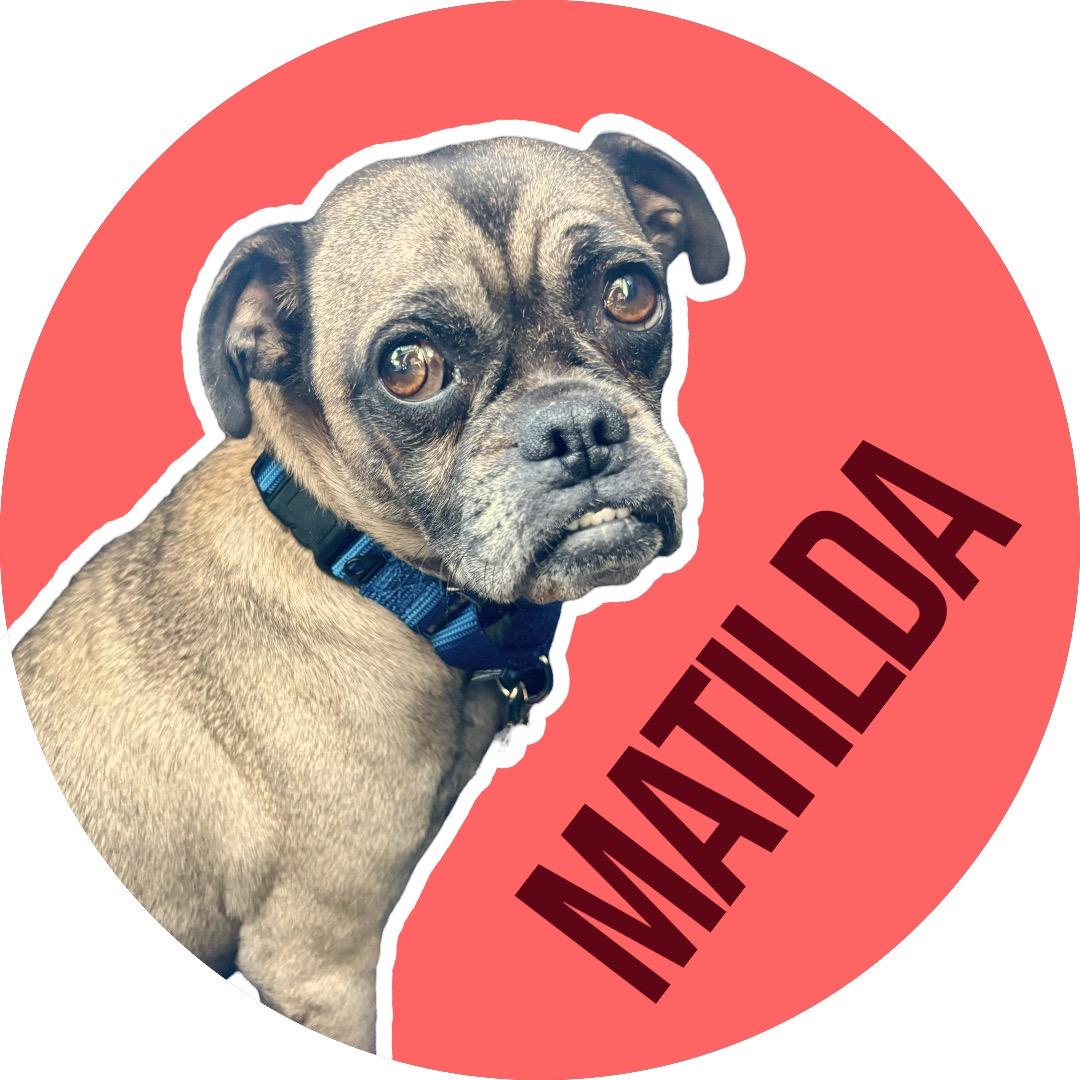 Matilda