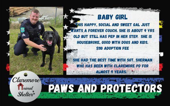 Enlarge BABY GIRL, a ADOPTABLE Black Labrador Retriever in Claremore, OK image 4/4
