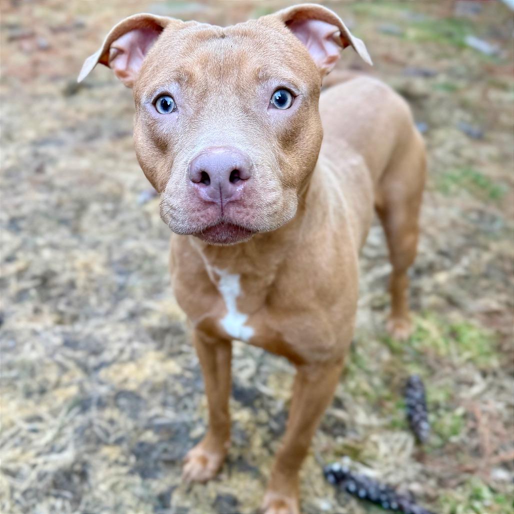 Masher — thumbnail 3