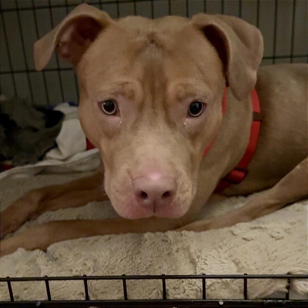 Masher — thumbnail 5