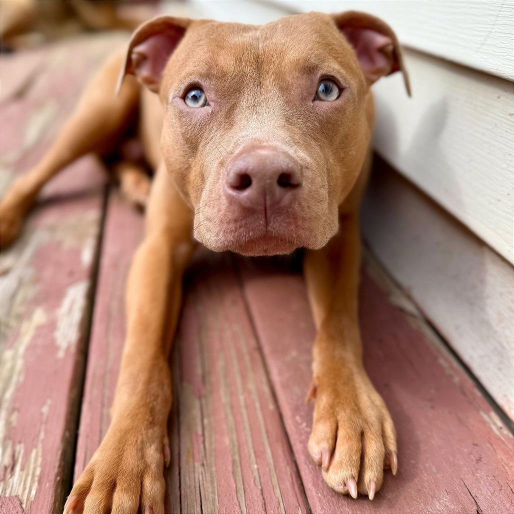 Masher — thumbnail 6