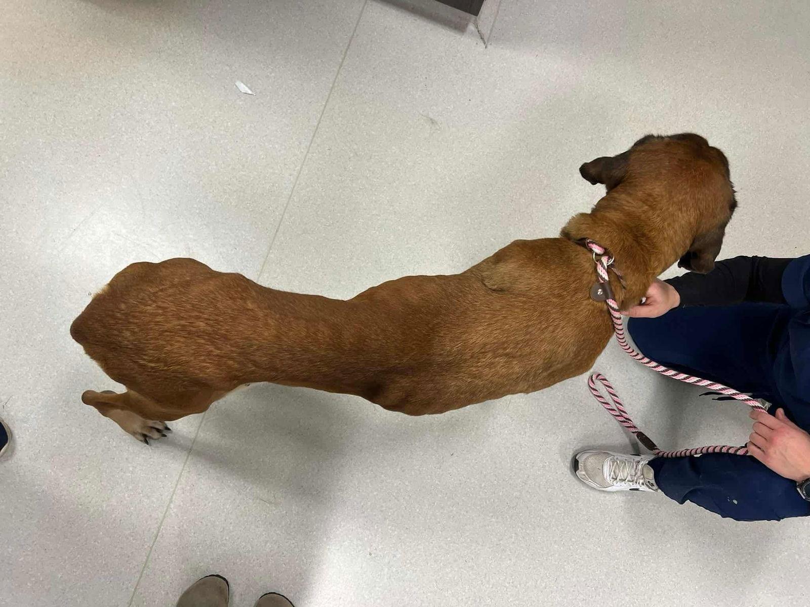 Maggie  Medical Hold thumbnail 2