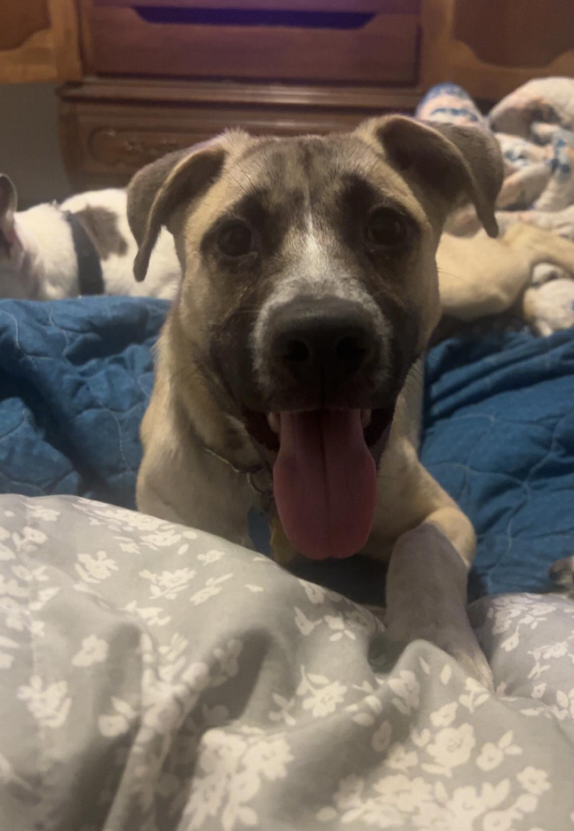 Sid FosterHome A450617