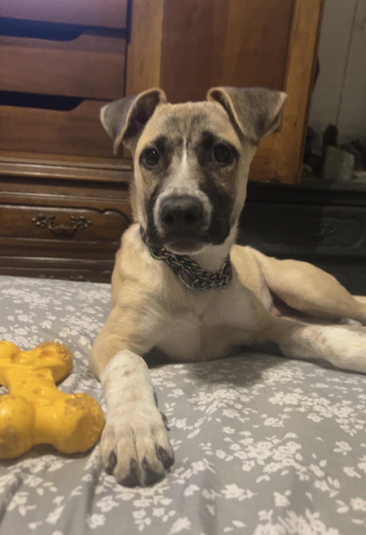 Sid FosterHome A450617