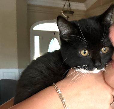 Priscilla thumbnail 2