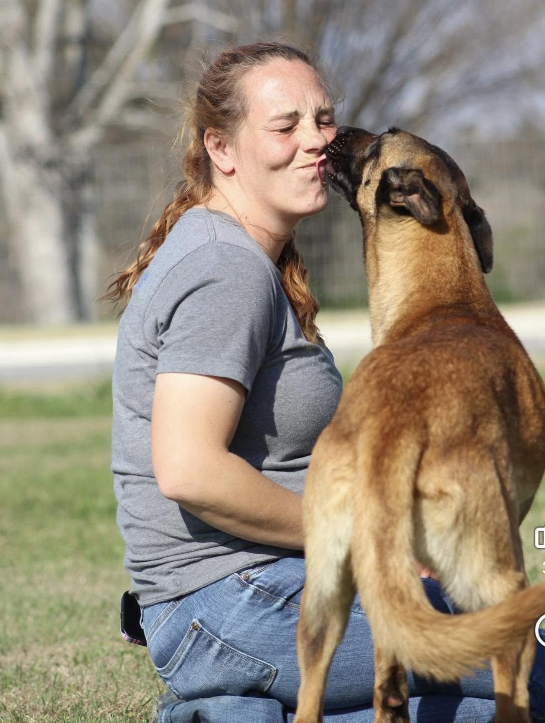 Enlarge Aura, a Adoptable Belgian Shepherd / Malinois in Temple, TX image 6/6