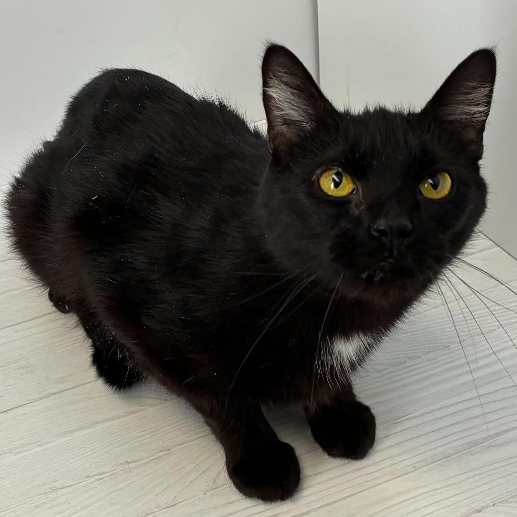 Donette — thumbnail 2