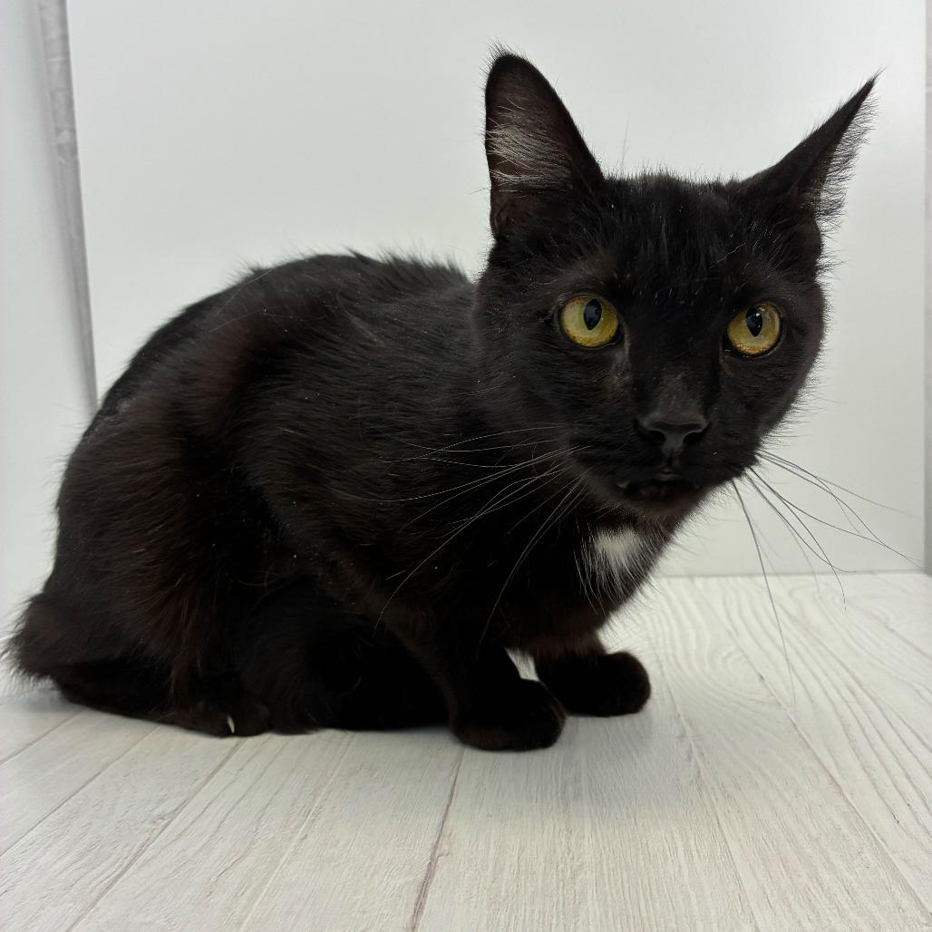 Donette — thumbnail 6