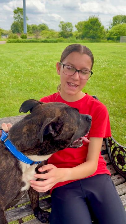 Enlarge Esme GCI Trained Graduate, an adoptable Mixed Breed in Elyria, OH video 5/5