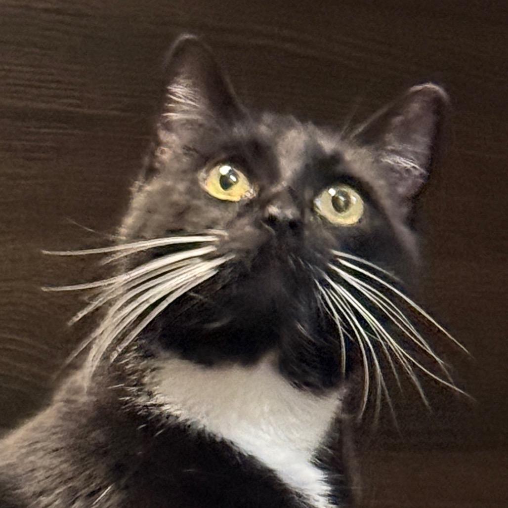 Faith — thumbnail 2