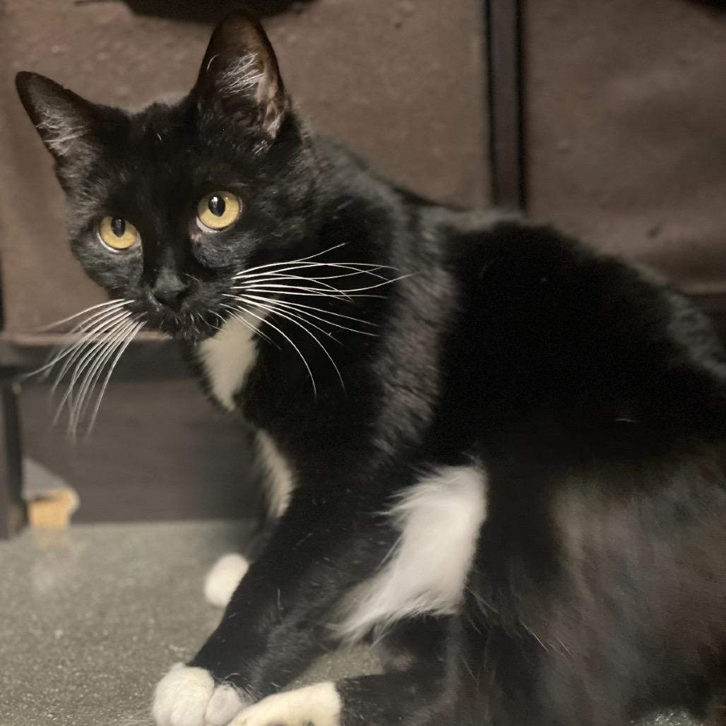 Faith — thumbnail 3