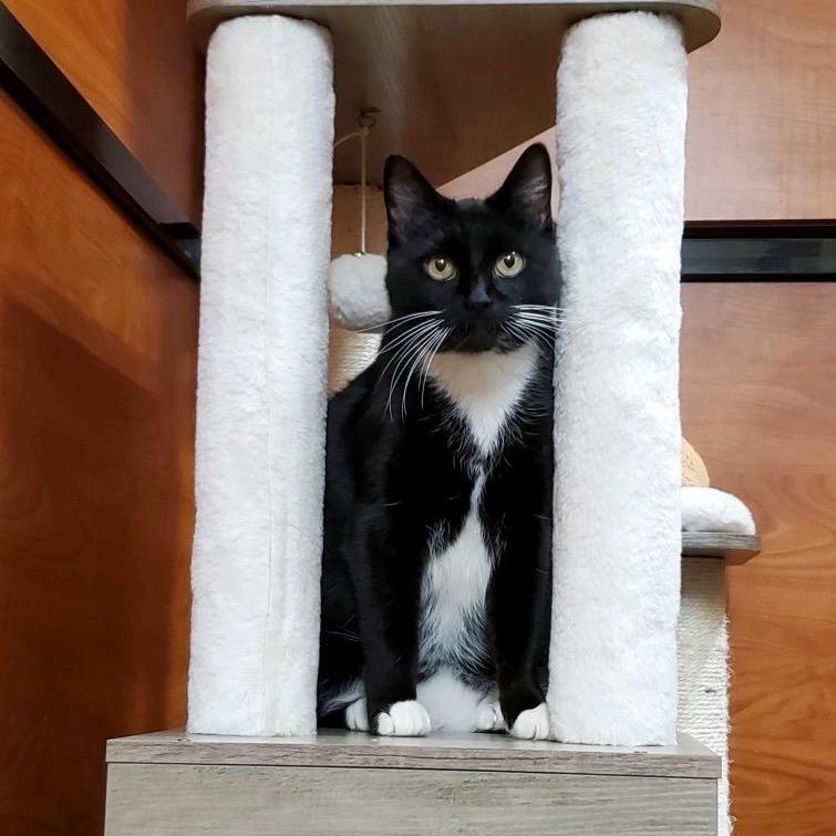 Faith — thumbnail 4