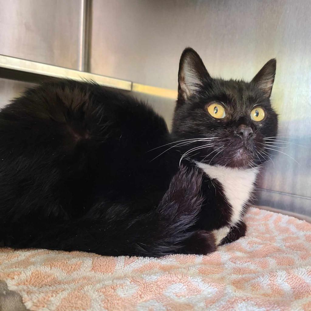 Faith — thumbnail 5