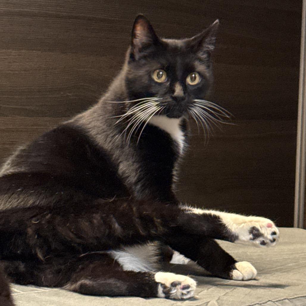 Faith — thumbnail 6