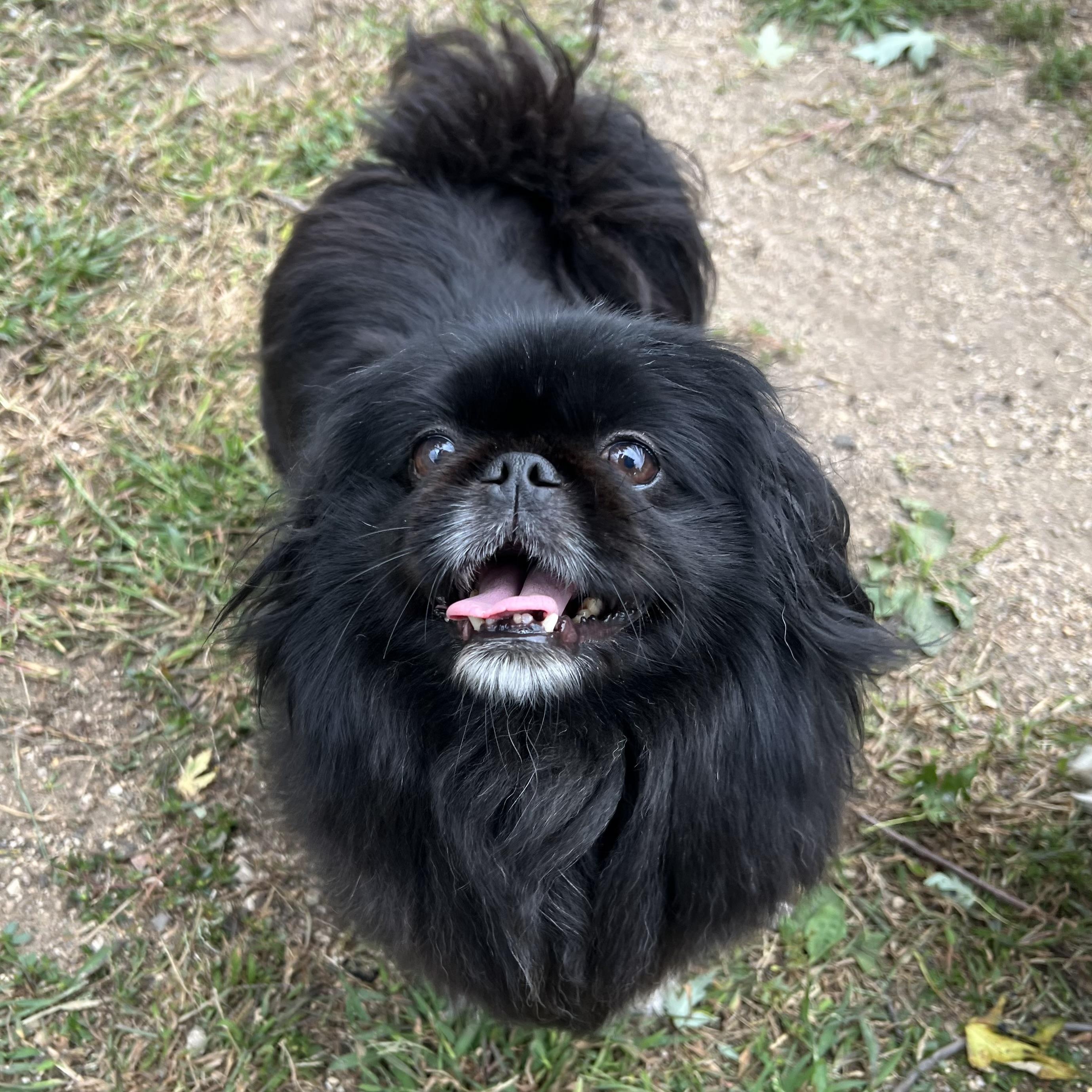 Fiona