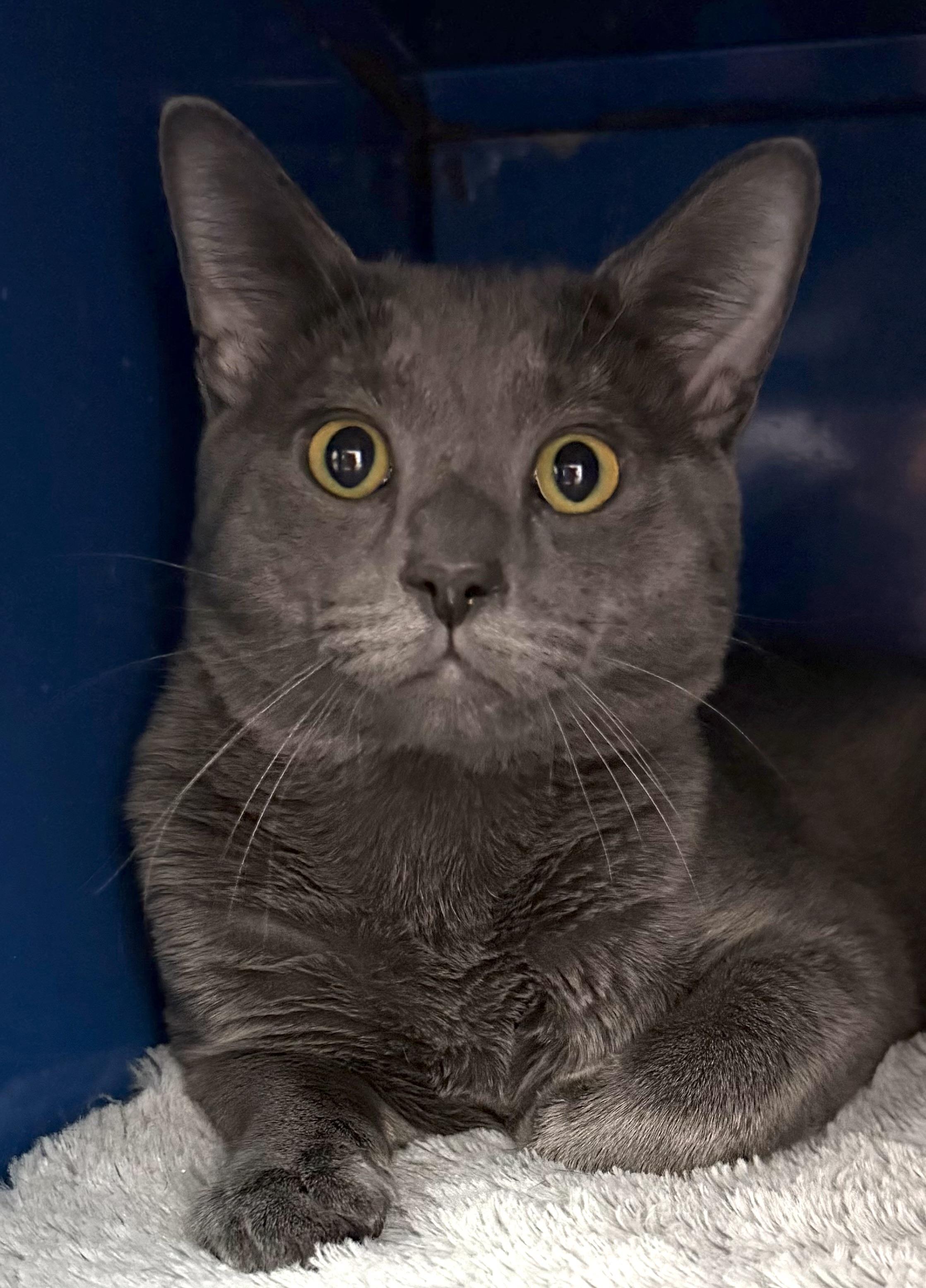 Liam — thumbnail 2