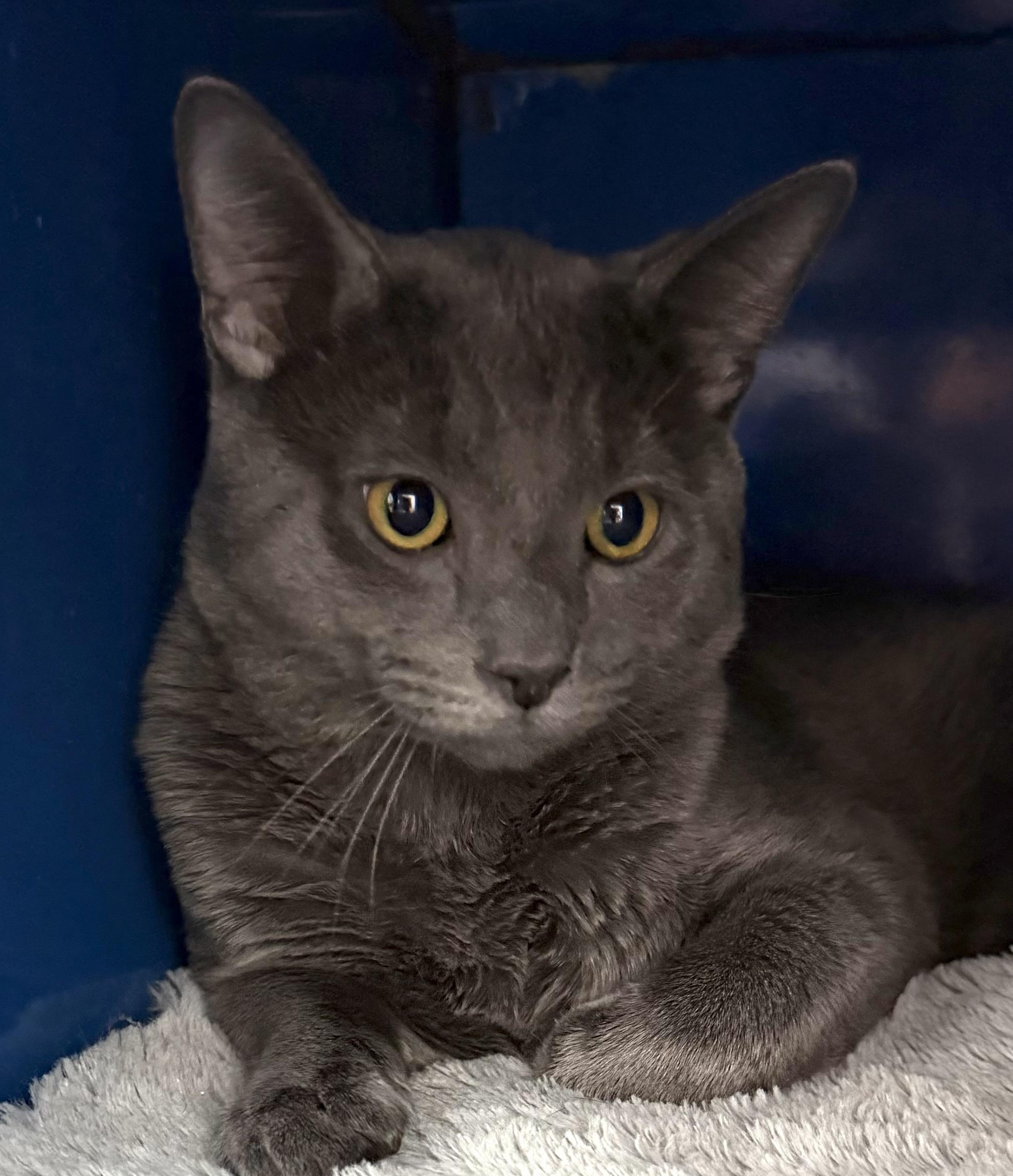 Liam — thumbnail 5