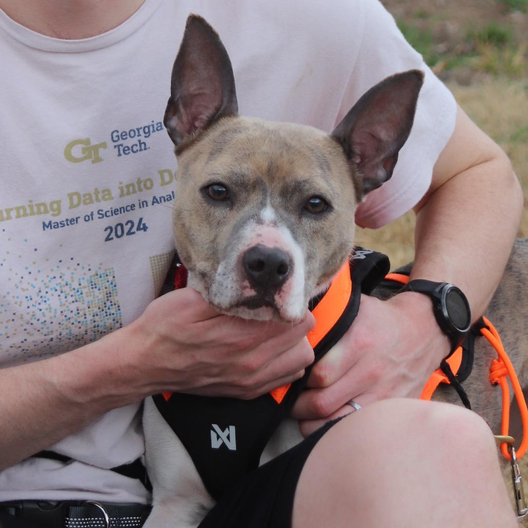 Princess 22324 — thumbnail 2