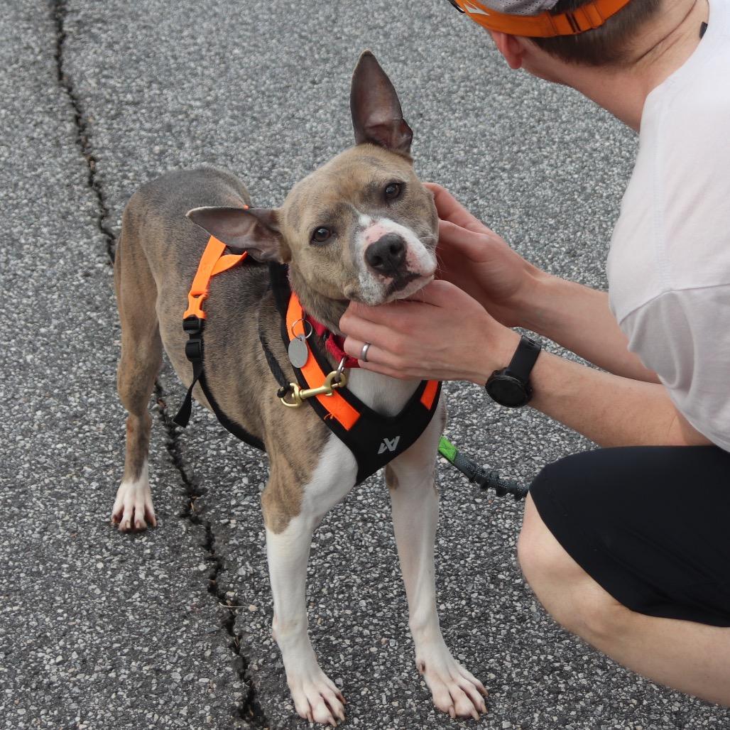 Princess 22324 — thumbnail 4