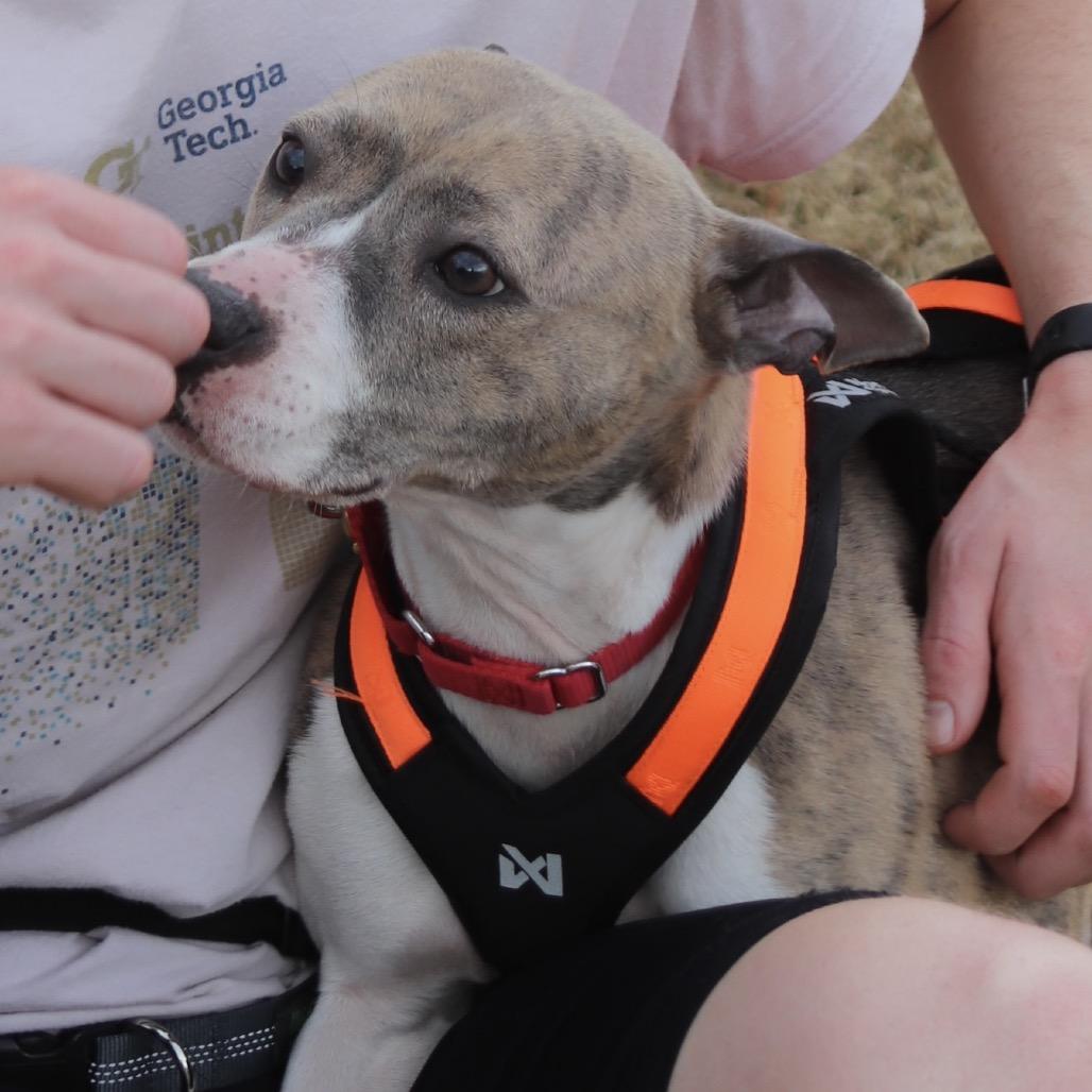 Princess 22324 — thumbnail 5