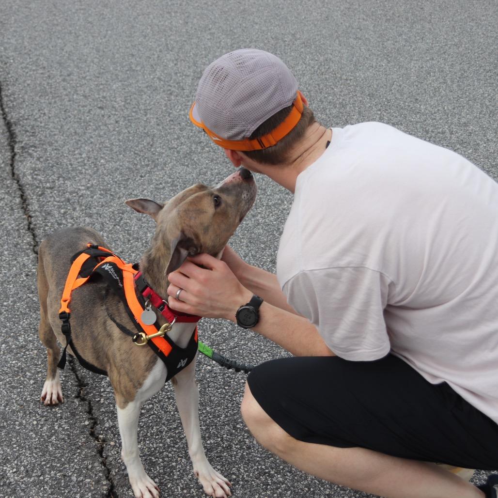 Princess 22324 — thumbnail 6