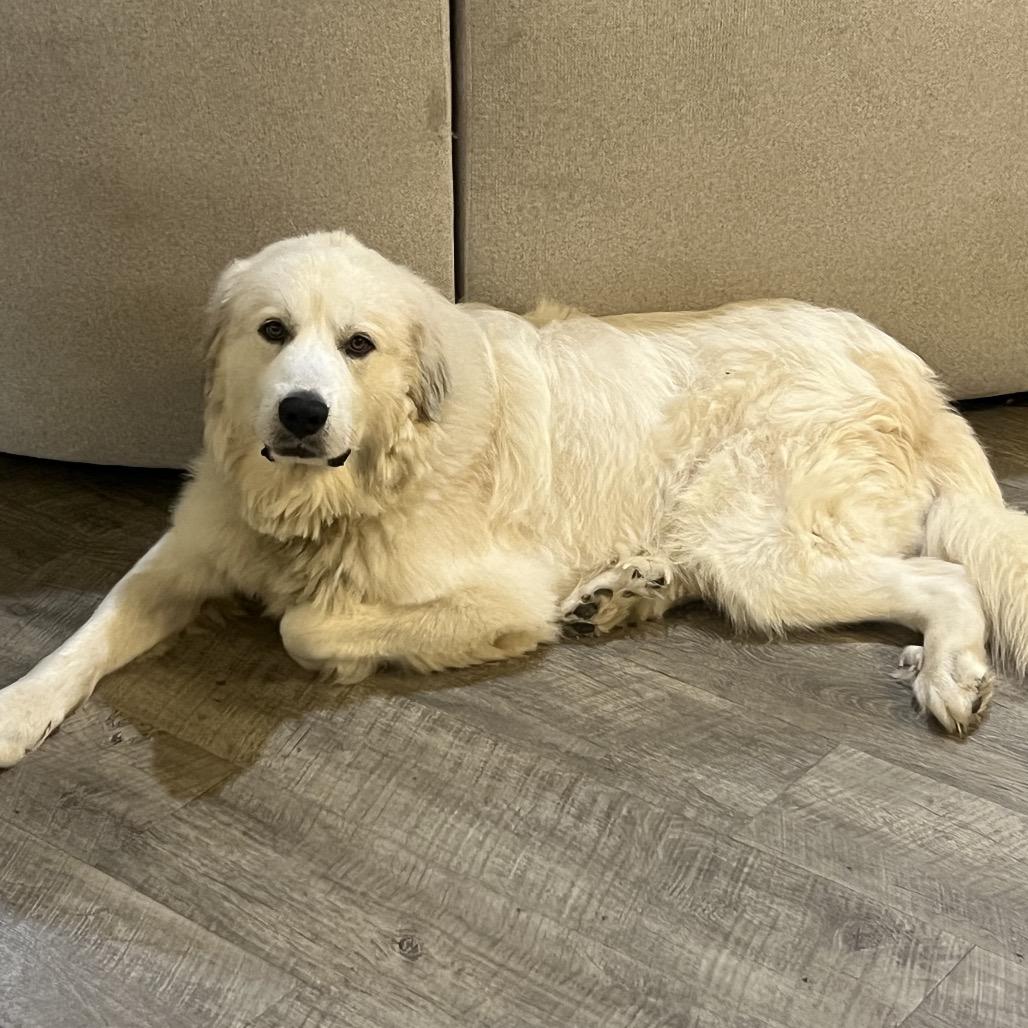 Zeus photo 3