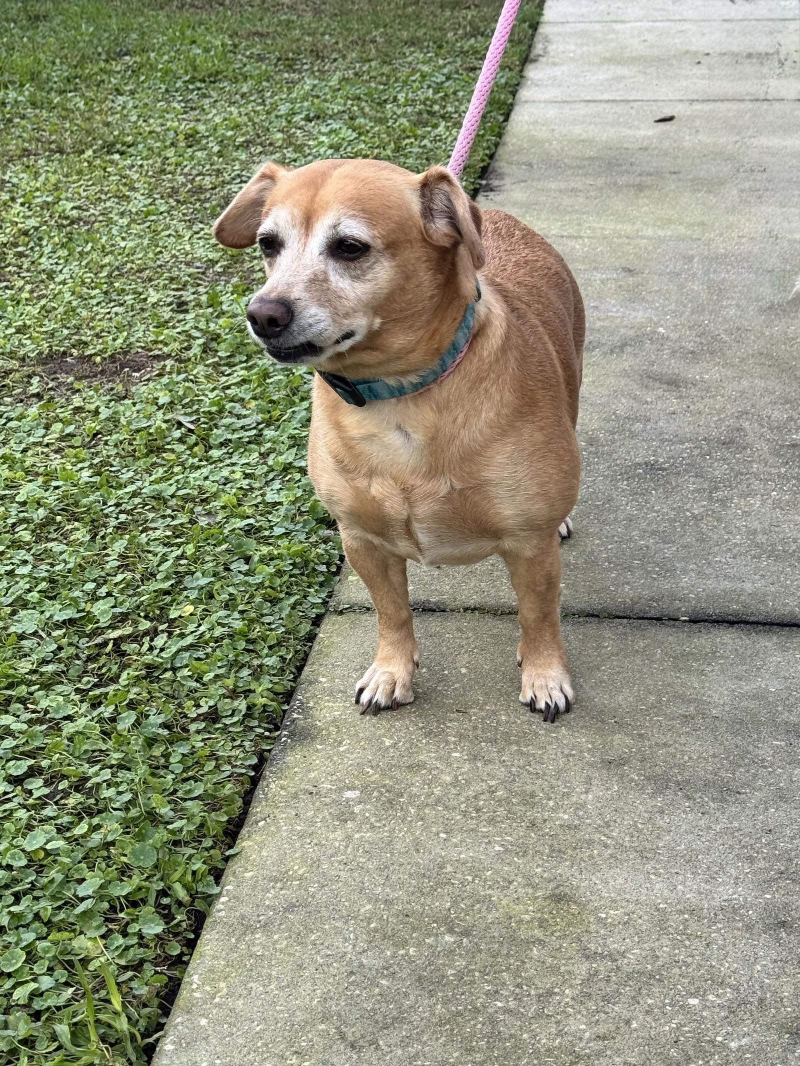 Squirt Bonded With Sweet