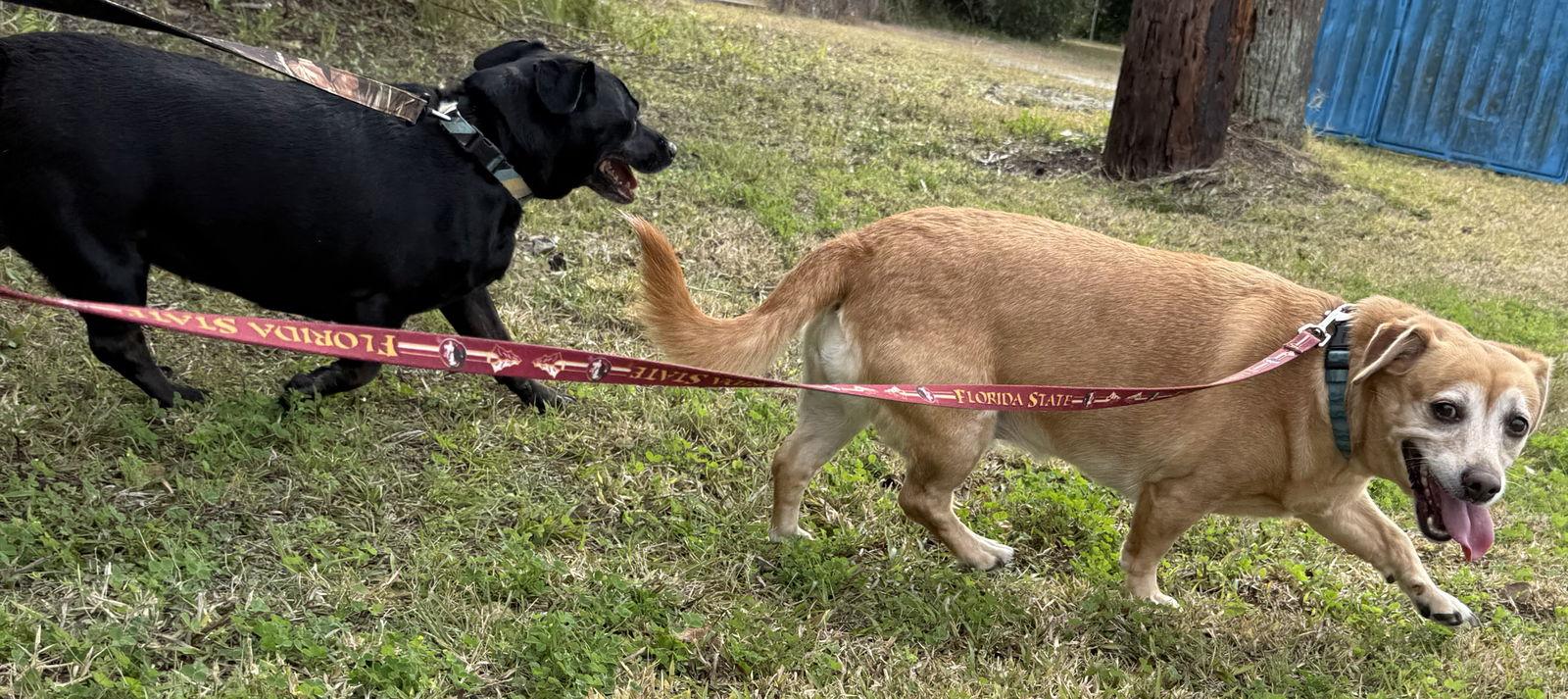 Squirt Bonded With Sweet thumbnail 2