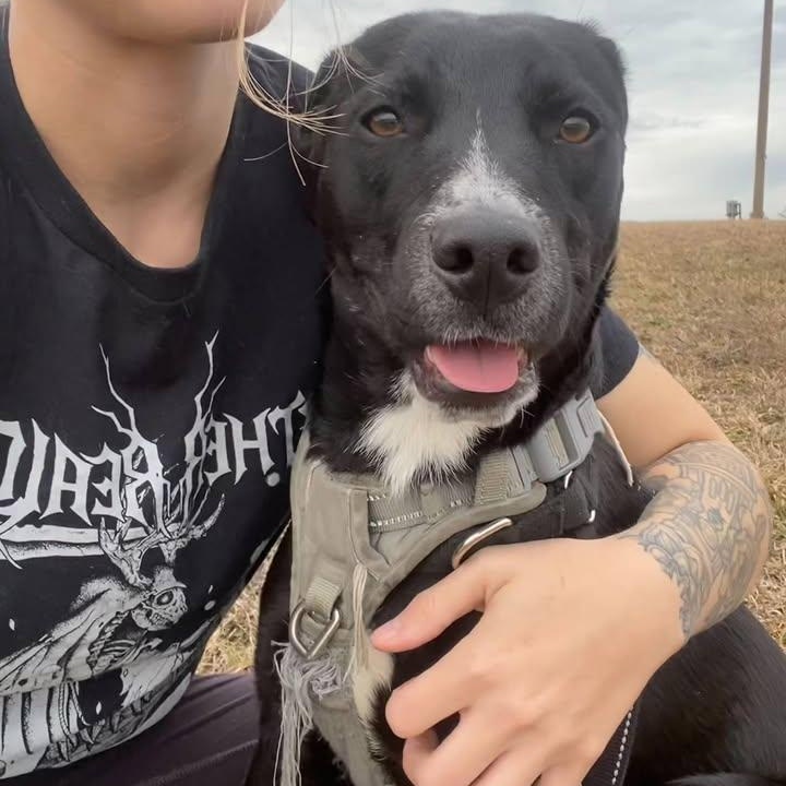 Shyla (20260129-01) — thumbnail 5