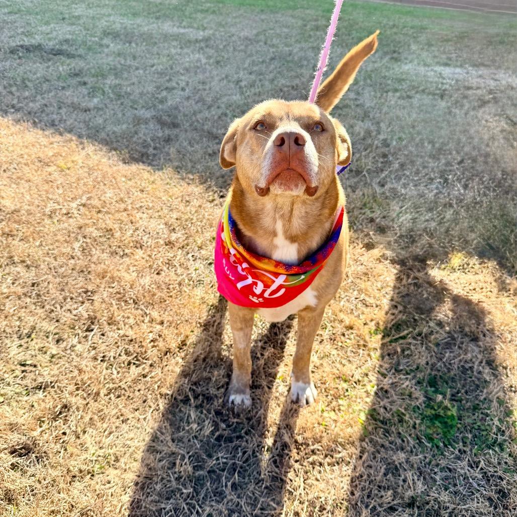 Gustav — thumbnail 3