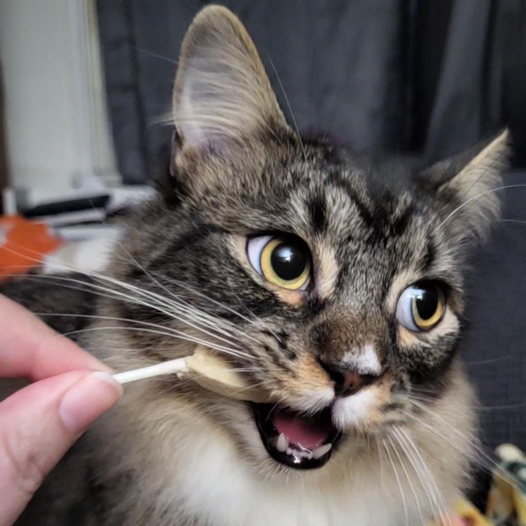 Wolfman — thumbnail 4