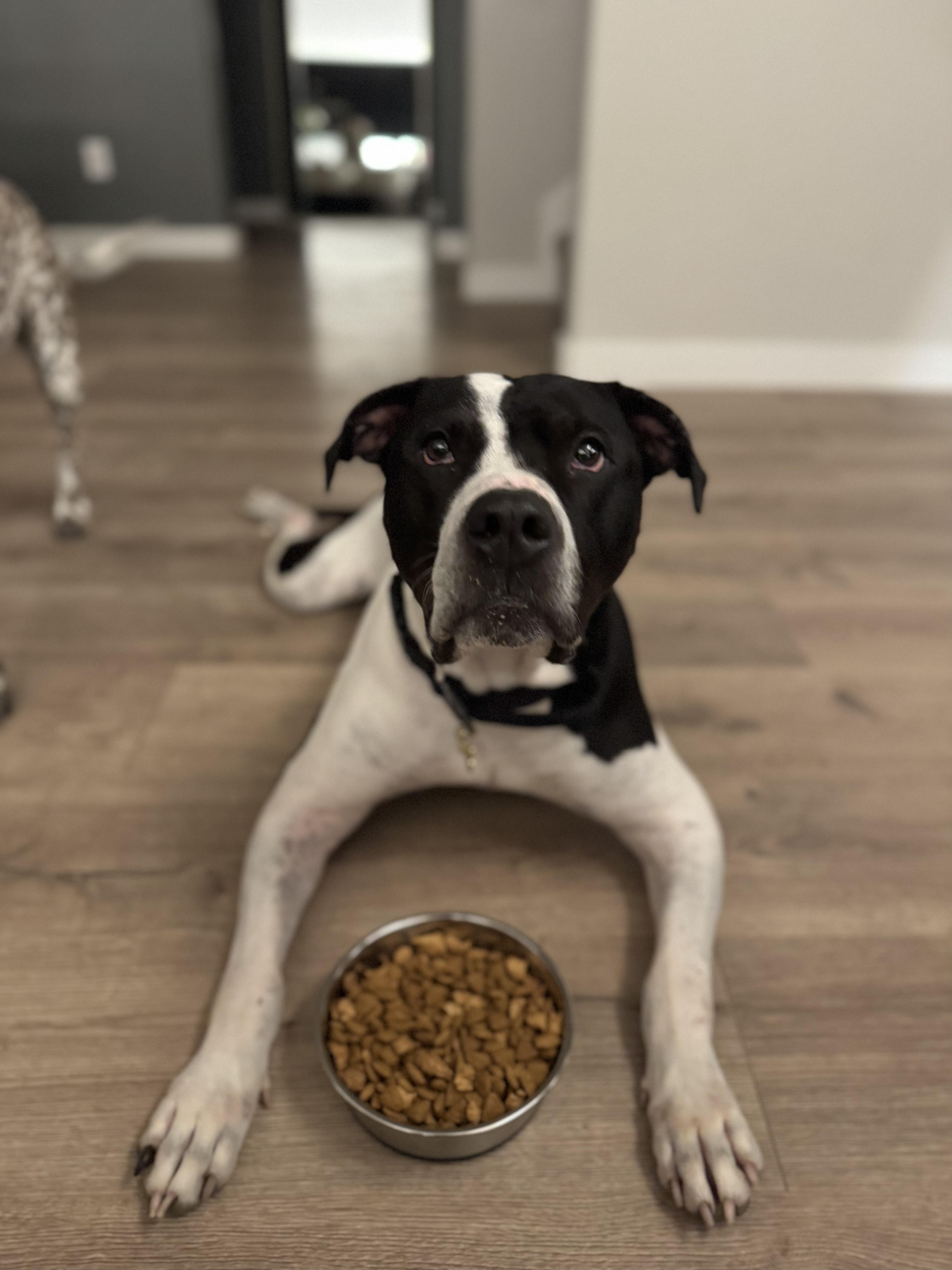 Ruger photo 5
