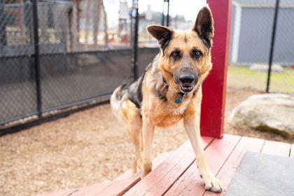 Gill — thumbnail 2